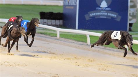racing post greyhound results yesterday|Race Result 20:21 Towcester Saturday 25 June .
